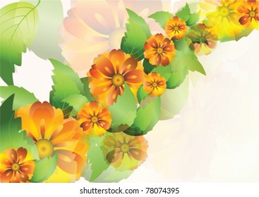 color vector background with everlasting flowers and leaves and swirl