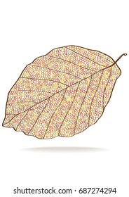 color vector beech leaf outline sketch with funny circles isolated on white background
