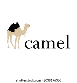 Farbvektorcamlogo