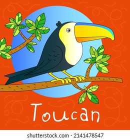 color vector cartoon illustration of toucan bird on bright background