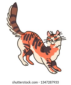 color vector cat