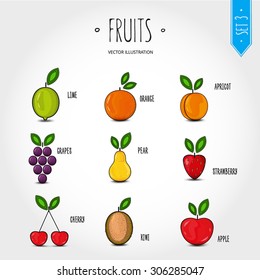 Color vector collection of fresh healthy fruits. Healthy lifestyle or diet.Vector Illustration 