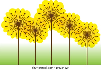 color vector dandelions