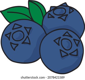 dibujo del vector de color del arándano azul