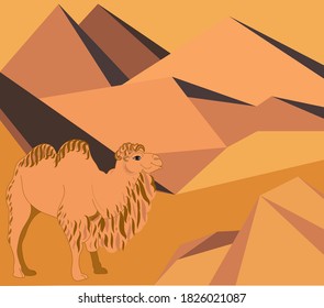 Color vector drawing of a camel in the desert