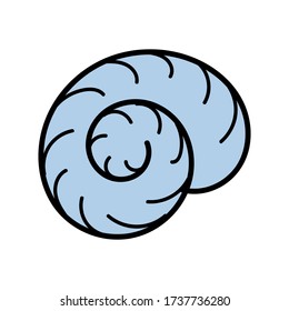 color vector element, black and white drawing of a marine inhabitant, doodle coloring, shell