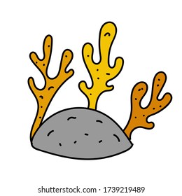 color vector element, black and white drawing of a marine inhabitant, doodle coloring, seaweed