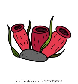 color vector element, black and white drawing of a marine inhabitant, doodle coloring, seaweed