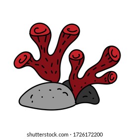 color vector element, drawing of a marine inhabitant, doodle coloring, seaweed