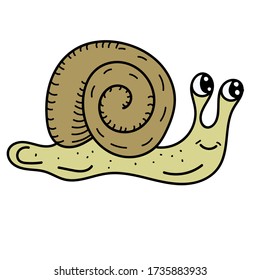 color vector element, drawing of a marine inhabitant, doodle coloring, cute snail with shell