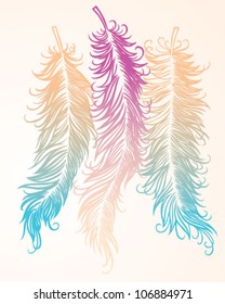 Color Vector Feathers (Hand Drawn)