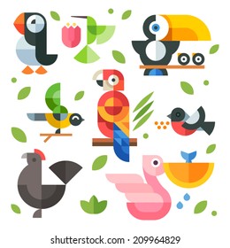 Color vector flat icon set and illustrations magic birds and chicks: toucan sitting on a branch, pelican fishing, hummingbird, parrot, chicken, puffin bird, bullfinch