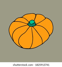 Icono de calabaza naranja del doodle dibujado a mano del vector de color. elementos gráficos de estilo doodal