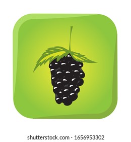 Color vector icon with blackberry