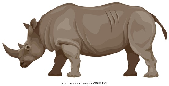 color vector illustration of an African rhinoceros, side view.