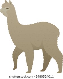 Ilustración vectorial de color de la vista lateral de alpaca. Animal de granja aislado sobre fondo blanco. Mamífero herbívoro de América del Sur.