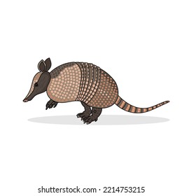 Color vector illustration of Armadillo on the white background