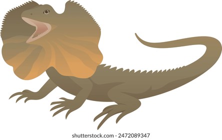 Color vector illustration of Australian frilled lizard or dragon animal. Wild reptile isolated on white background. Wildlife of Australia.