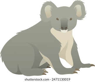 Color vector illustration of Australian koala bear. Wild arboreal herbivorous marsupial isolated on white background. Wildlife of Australia.