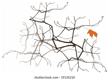 Color vector illustration of bare tree branches with a single leaf. Can be used for background.