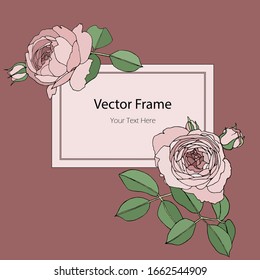 Color vector illustration of beautiful rose flowers. Vector frame. Greeting card with flowers, can be used as an invitation card for a wedding, birthday and other holiday and summer backgrounds.