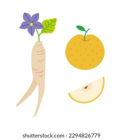 Color vector illustration bellflower roots   pear fruit shapes  Cute  neat  independent icon drawing 	
