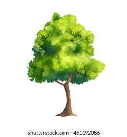 Color Vector Illustration Of Big Tree With Fresh Leaves Isolated On White