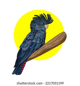 Color vector illustration of Black Cockatoo isolated on white background