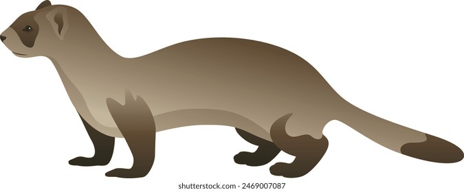 Ilustración vectorial de color de la vista lateral del hurón con patas negras. Animal salvaje en peligro de extinción aislado sobre fondo blanco. Fauna de América del Norte.