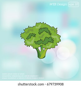 Color vector illustration. Broccoli icon