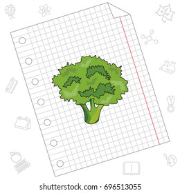 Color vector illustration. Broccoli icon