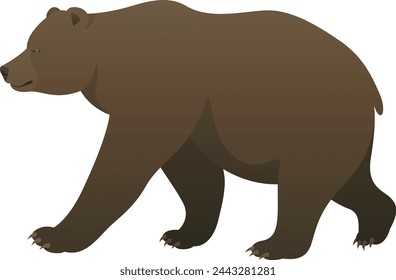 Color vector illustration of brown bear grizzly standing, walking, side view. Wild animal isolated on white background. Wildlife of North America.