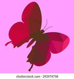 Color vector illustration butterfly low poly style.