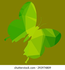 Color vector illustration butterfly low poly style.