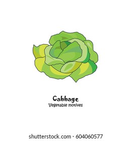 Color vector illustration. Cabbage icon