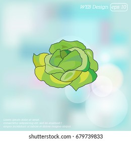 Color vector illustration. Cabbage icon