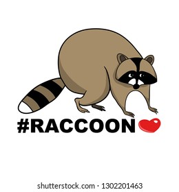 Color vector illustration of a cartoon cute raccoon, greeting card Valentine's Day