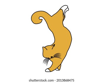 a color vector illustration of a cat standing on its front paws may be suitable for the veterinary sphere