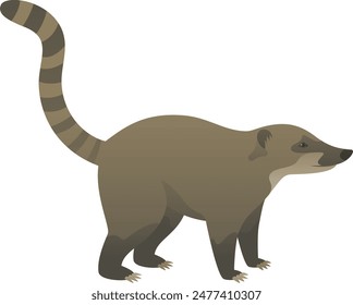 Color vector illustration of coati side view. Wild animal isolated on white background. Omnivore mammal. Jungle, tropical, exotic pet.