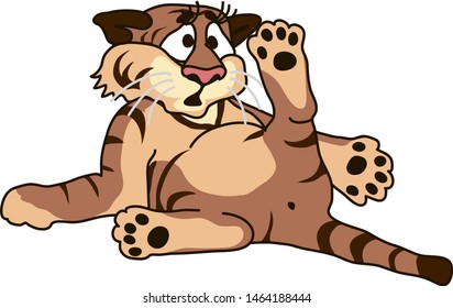 color vector illustration - cute surprised tiger cub reclining on his back, raising his hind leg - side view
