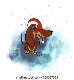 color vector illustration of dachshund with red new year clothes on snow