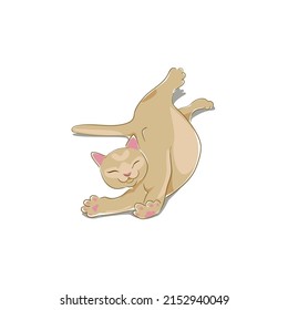 color vector illustration depicting a stretched cat