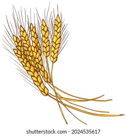 Color vector illustration with ears of wheat. Cartoon illustration in hand drawn style. Design element for printing. 