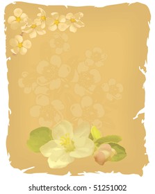 Color vector illustration of flowering of an apple-tree on an old paper.