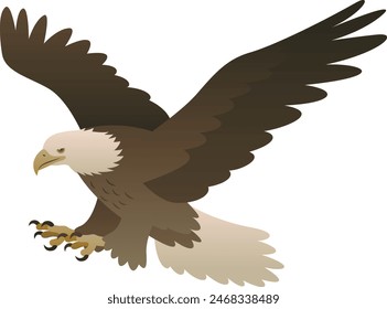 Ilustración vectorial de color de águila calva voladora atacando con garras. Pájaro carnívoro silvestre de presa aislado sobre fondo blanco. Fauna de América del Norte.