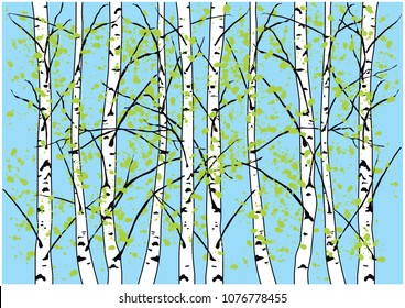 Color vector illustration of fresh spring bich trees. Beautiful spring bich forest and blue sky.