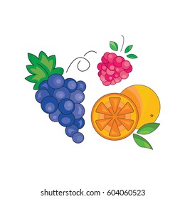 Color vector illustration. Fruit icon