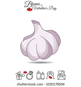 Color vector illustration. Garlic