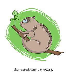 Color vector illustration, image of a cartoon funny wild animal, lory
