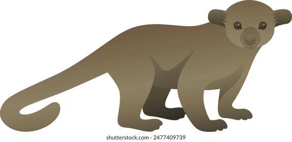 Color vector illustration of kinkajou. Wild animal isolated on white background. Tropical rainforest mammal and exotic pet.